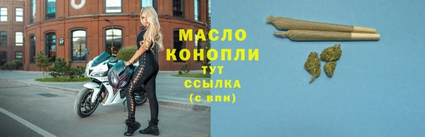2c-b Каменка