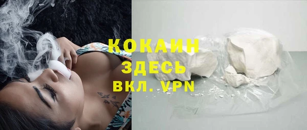 2c-b Каменка