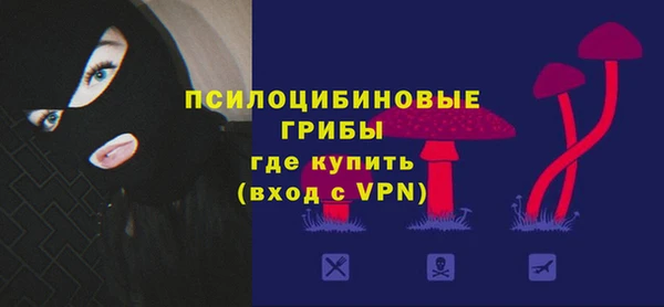 2c-b Каменка