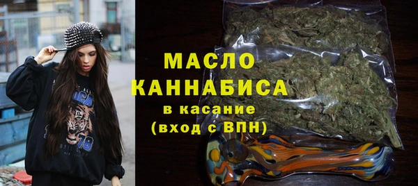 2c-b Каменка
