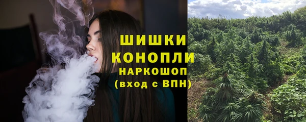 2c-b Каменка