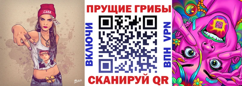 Купить  Бирюсинск  Псилоцибиновые грибы Psilocybine cubensis 